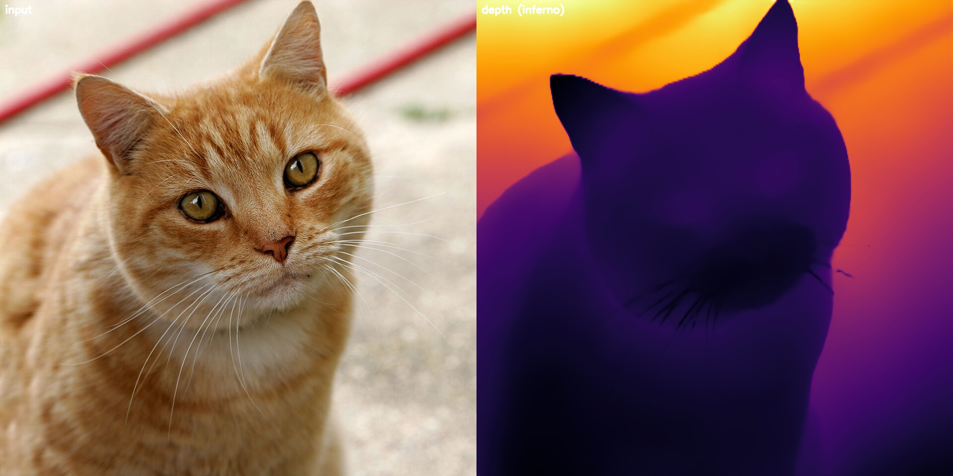 Side-by-side input and an INFERNO-colored depth map of the cat scene.
