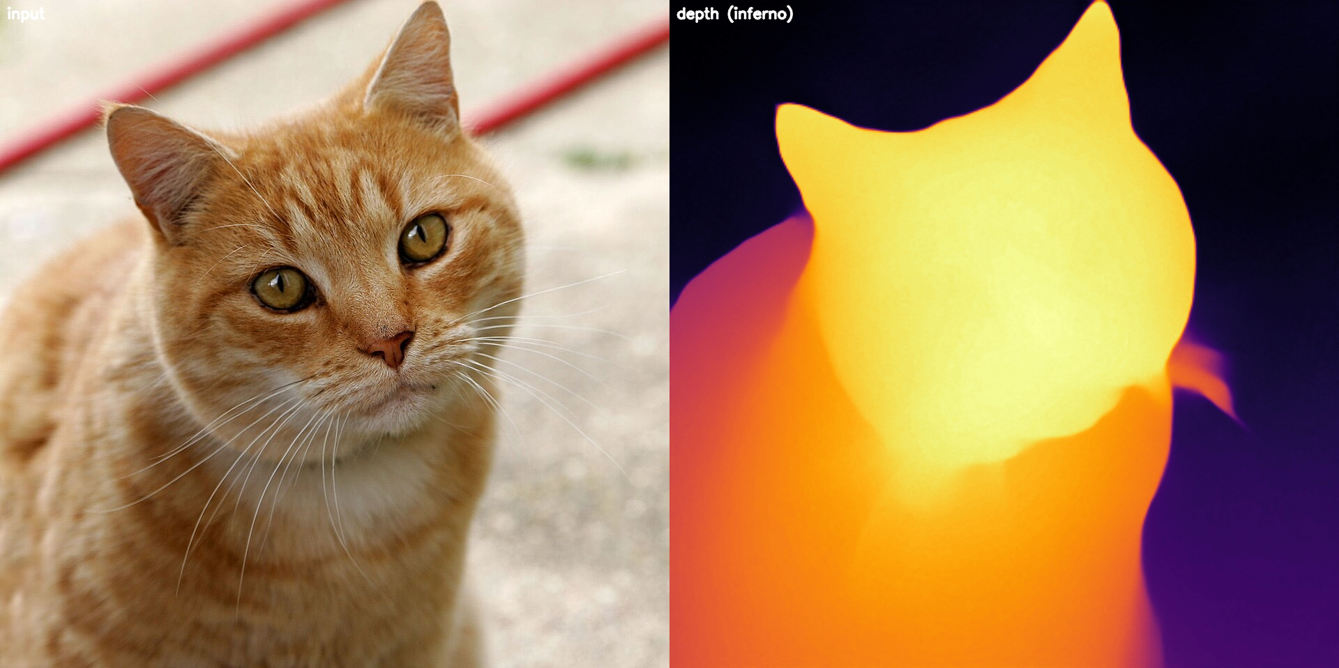 Side-by-side input and a colored disparity map of the cat scene.