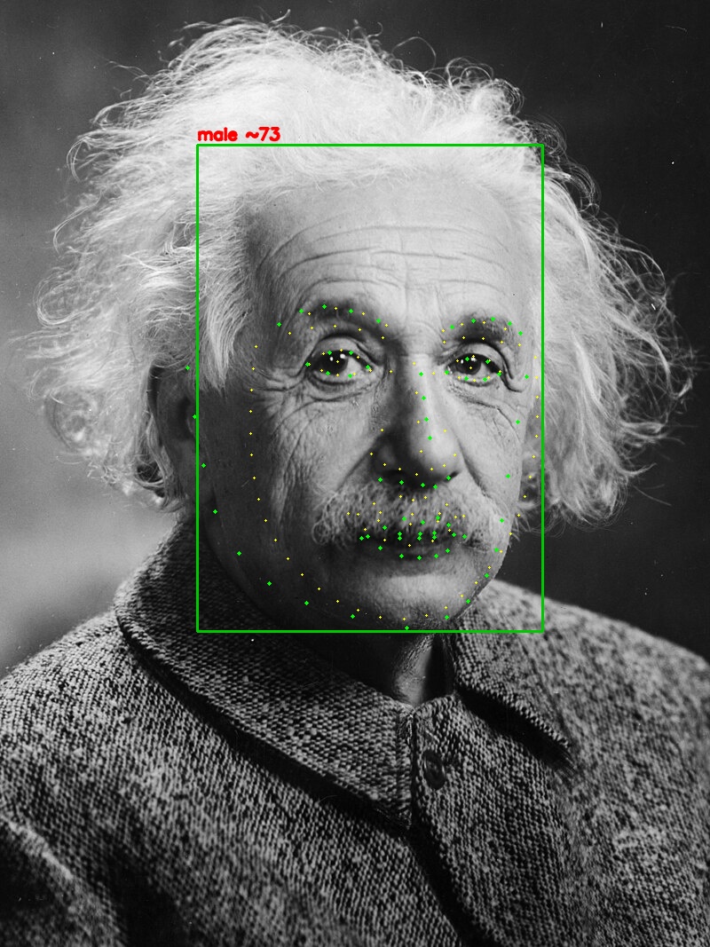 The portrait with 106 yellow landmark dots drawn over the face.
