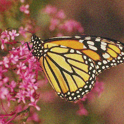 A 256x256 photograph of a butterfly used as the upscale fixture.
