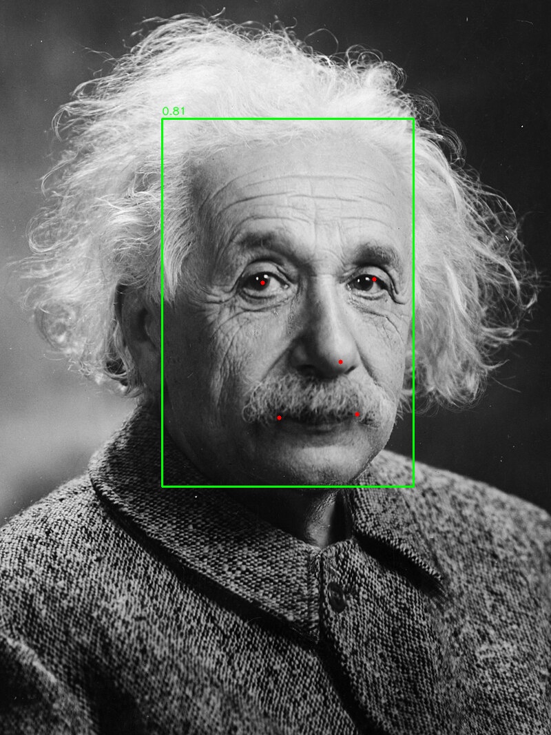 The Einstein portrait with a green box and red 5-point landmarks.