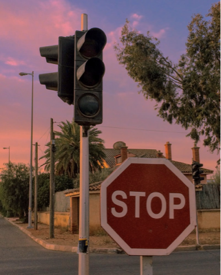 A road scene with a stop sign, traffic light, foliage, and sky.